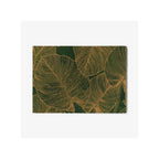 ColorStar Botanical Pine Green – Wasbare droogloopmat