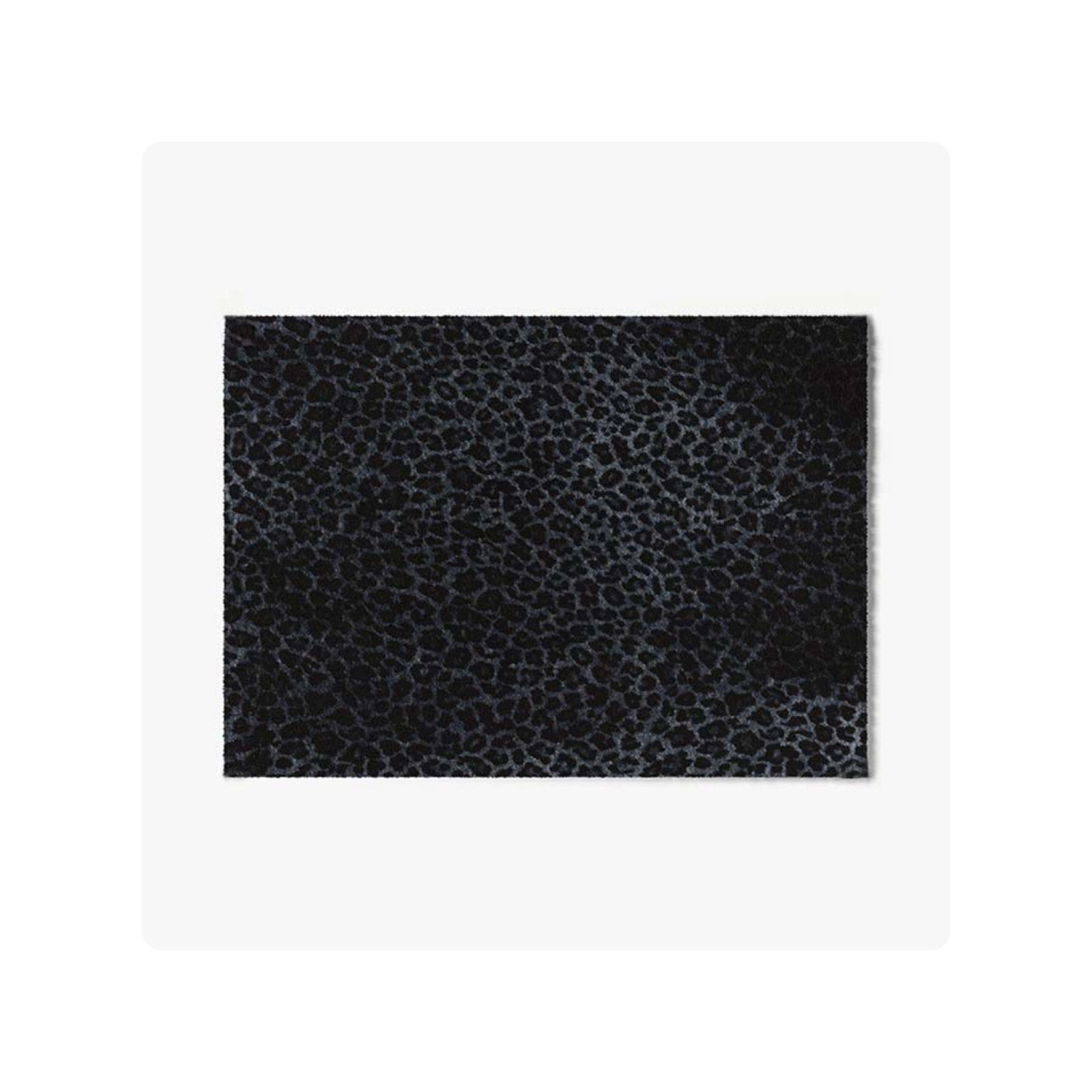 ColorStar Leopard Navy Blue – Wasbare droogloopmat