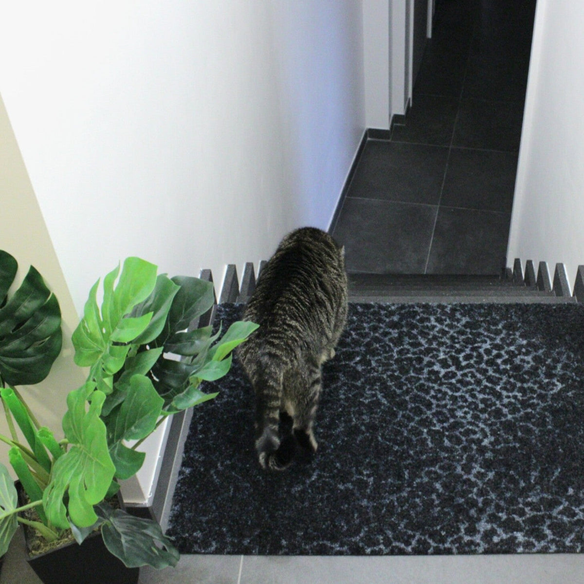 ColorStar Leopard Navy Blue – Wasbare droogloopmat