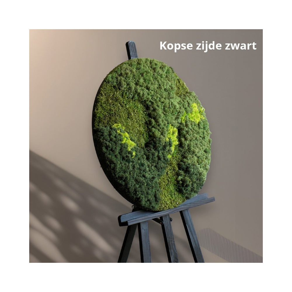 Mosschilderij Noomi met kopse zijde zwart op een ezel