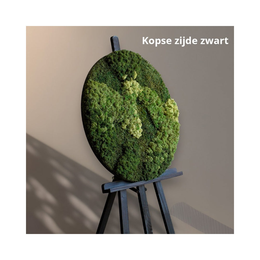 Mosschilderij Vaya met kopse zijde zwart op een ezel
