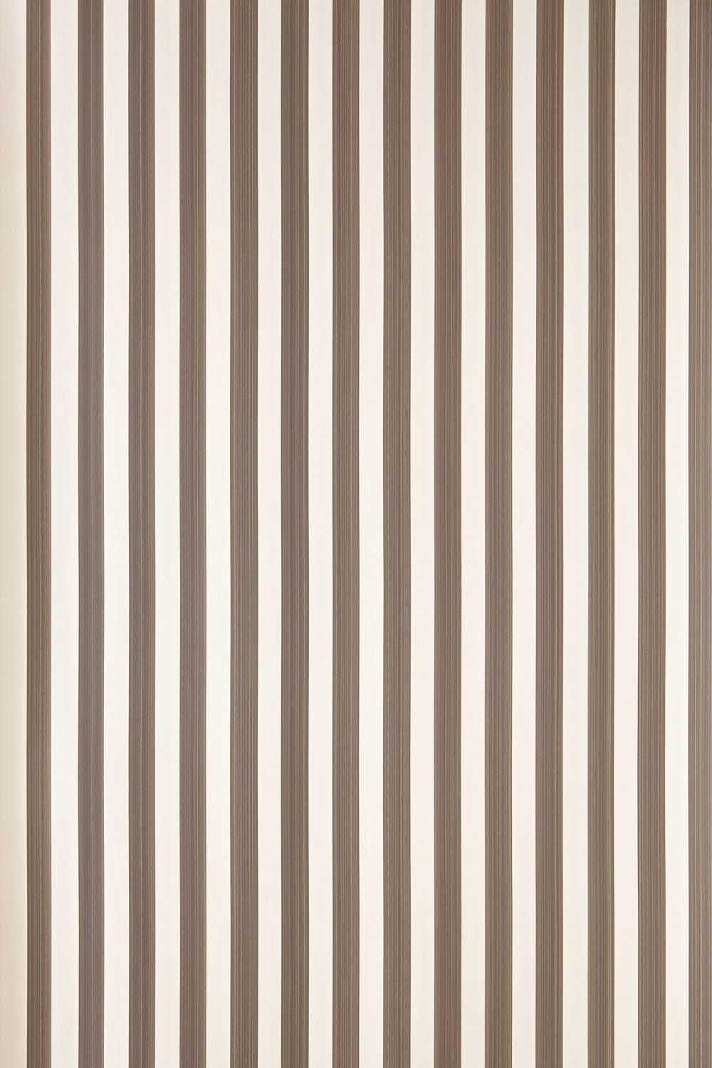 Outlet - Farrow & Ball Closet Stripe 350
