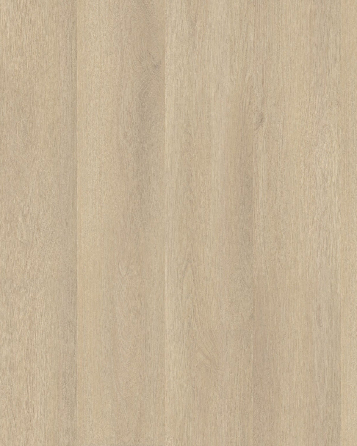 Staal Ambiant Marano Beige Eiken - Laminaat Stroken - dessin