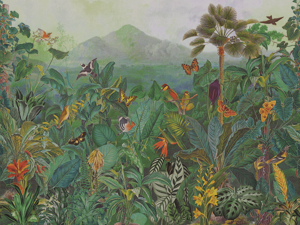 product_arte_birds-of-paradise_bop401_packshot.jpg