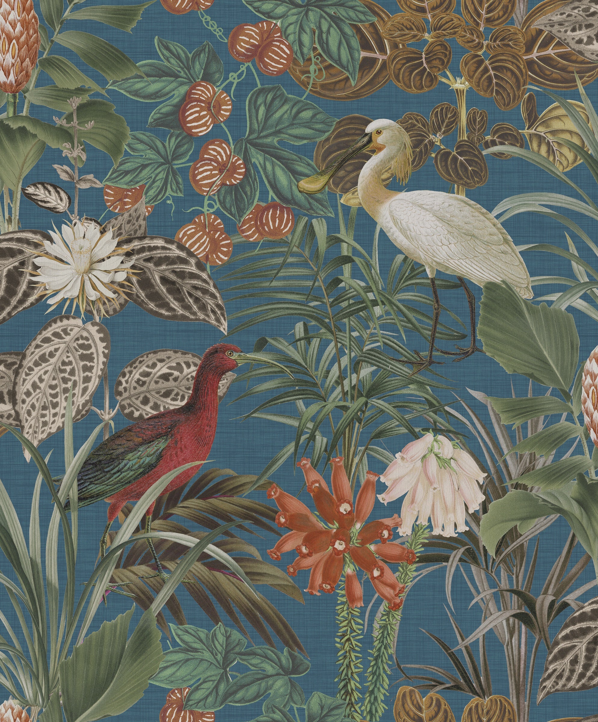 product_arte_birds-of-paradise_bop501_packshot.jpg