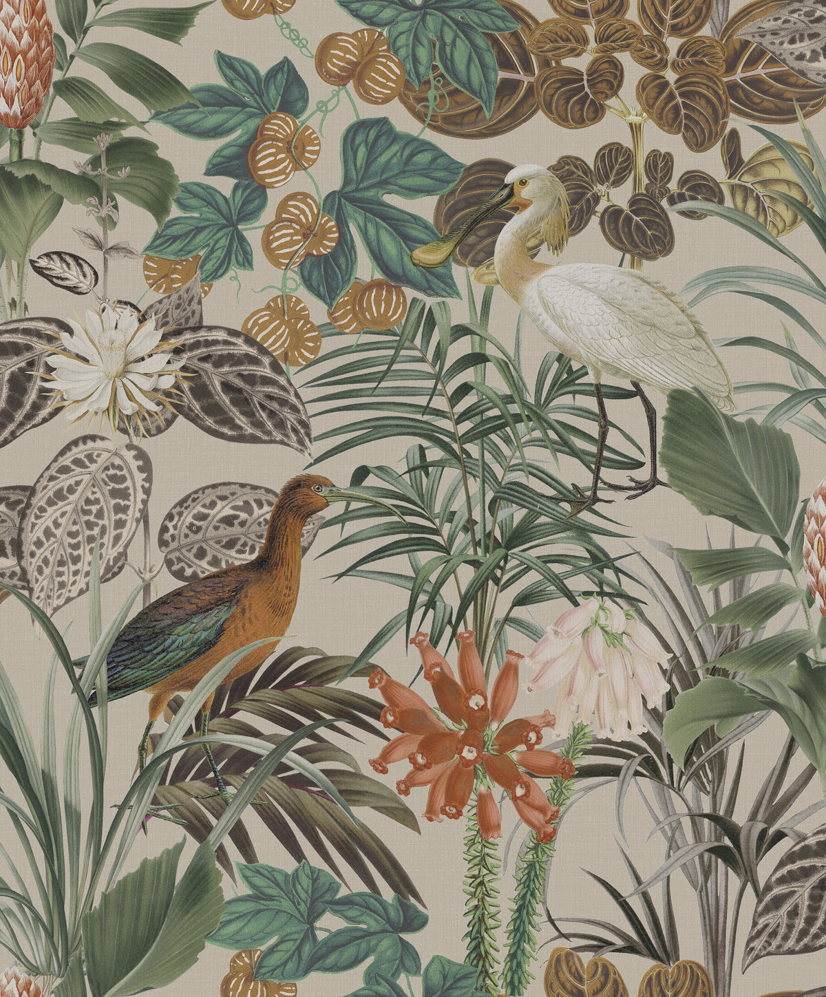 product_arte_birds-of-paradise_bop502_packshot.jpg