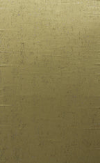 product_arte_cobra_ca15_packshot.jpg