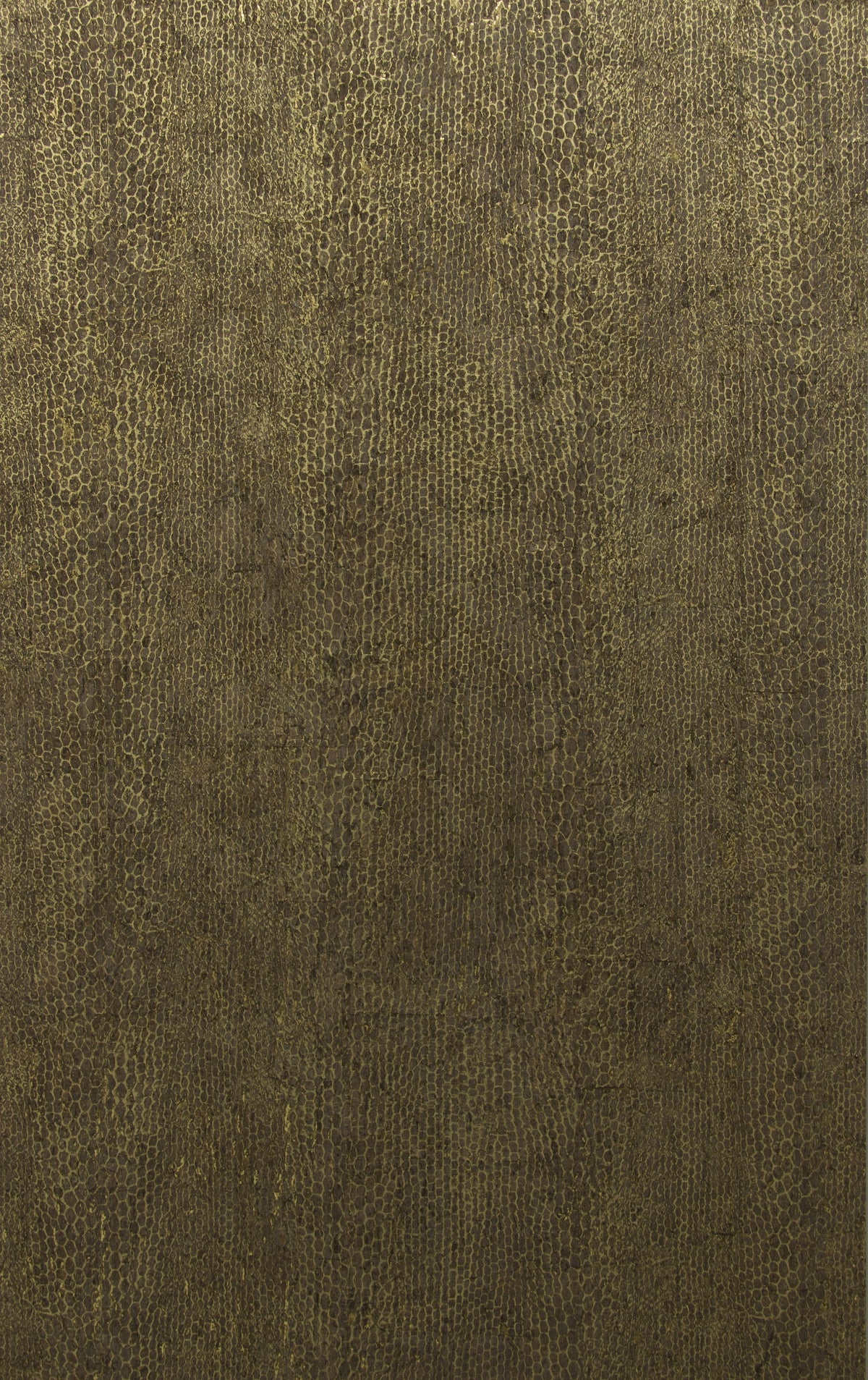 product_arte_cobra_ca24_packshot.jpg