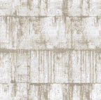 product_arte_cobra_ca31_packshot.jpg