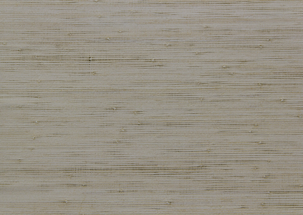 product_arte_cobra_ca41_packshot.jpg
