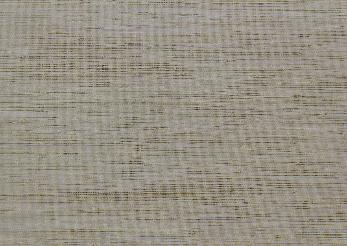 product_arte_cobra_ca41_packshot.jpg
