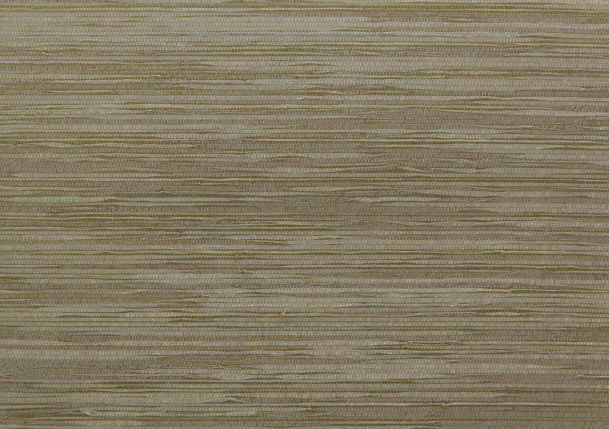 product_arte_cobra_ca43_packshot.jpg