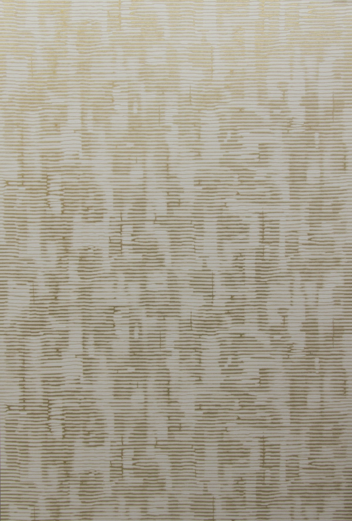 product_arte_cobra_ca53_packshot.jpg