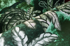 product_arte_decors-panoramiques_97731_mood_2.jpg