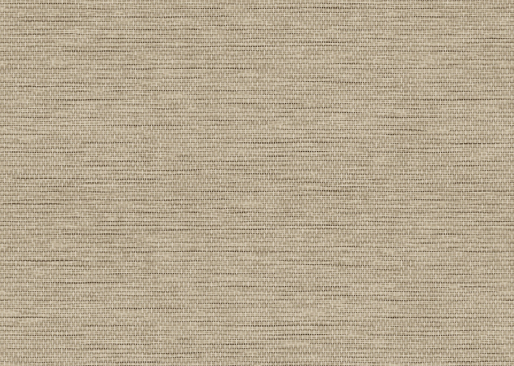 product_arte_essentials-palette_60505a_packshot.jpg