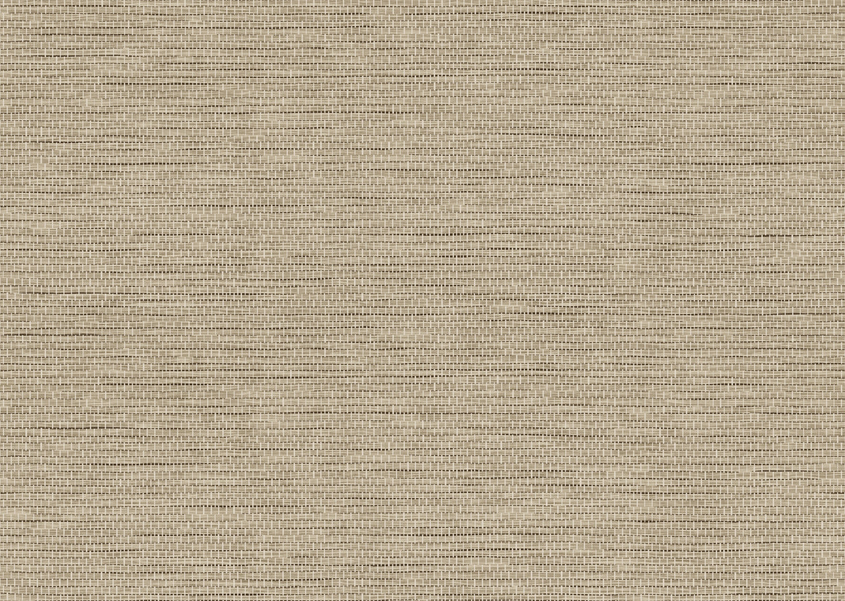 product_arte_essentials-palette_60505a_packshot.jpg