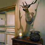 product_arte_flamant-the-wallpaper-collection_40019_roomshot_2.jpg