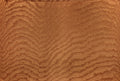 product_arte_kharga_15012a_packshot.jpg