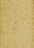 product_arte_metal-x_37516_packshot.jpg