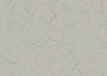 product_arte_moooi-wallcovering-the-extinct-animals-collection_mo2012_packshot.jpg