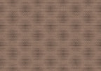 product_arte_moooi-wallcovering-the-extinct-animals-collection_mo2022_packshot.jpg