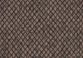 product_arte_moooi-wallcovering-the-extinct-animals-collection_mo2031_packshot.jpg