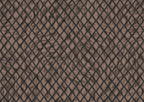 product_arte_moooi-wallcovering-the-extinct-animals-collection_mo2031_packshot.jpg