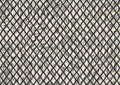 product_arte_moooi-wallcovering-the-extinct-animals-collection_mo2032_packshot.jpg