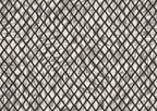 product_arte_moooi-wallcovering-the-extinct-animals-collection_mo2032_packshot.jpg