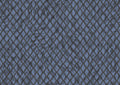 product_arte_moooi-wallcovering-the-extinct-animals-collection_mo2033_packshot.jpg