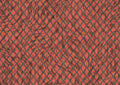 product_arte_moooi-wallcovering-the-extinct-animals-collection_mo2034_packshot.jpg