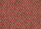 product_arte_moooi-wallcovering-the-extinct-animals-collection_mo2034_packshot.jpg