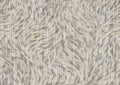 product_arte_moooi-wallcovering-the-extinct-animals-collection_mo2041_packshot.jpg