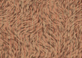product_arte_moooi-wallcovering-the-extinct-animals-collection_mo2042_packshot.jpg