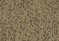 product_arte_moooi-wallcovering-the-extinct-animals-collection_mo2043_packshot.jpg