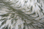 product_arte_moooi-wallcovering-the-extinct-animals-collection_mo2044_roomshot.jpg