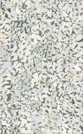 product_arte_moooi-wallcovering-the-extinct-animals-collection_mo2111_packshot.jpg