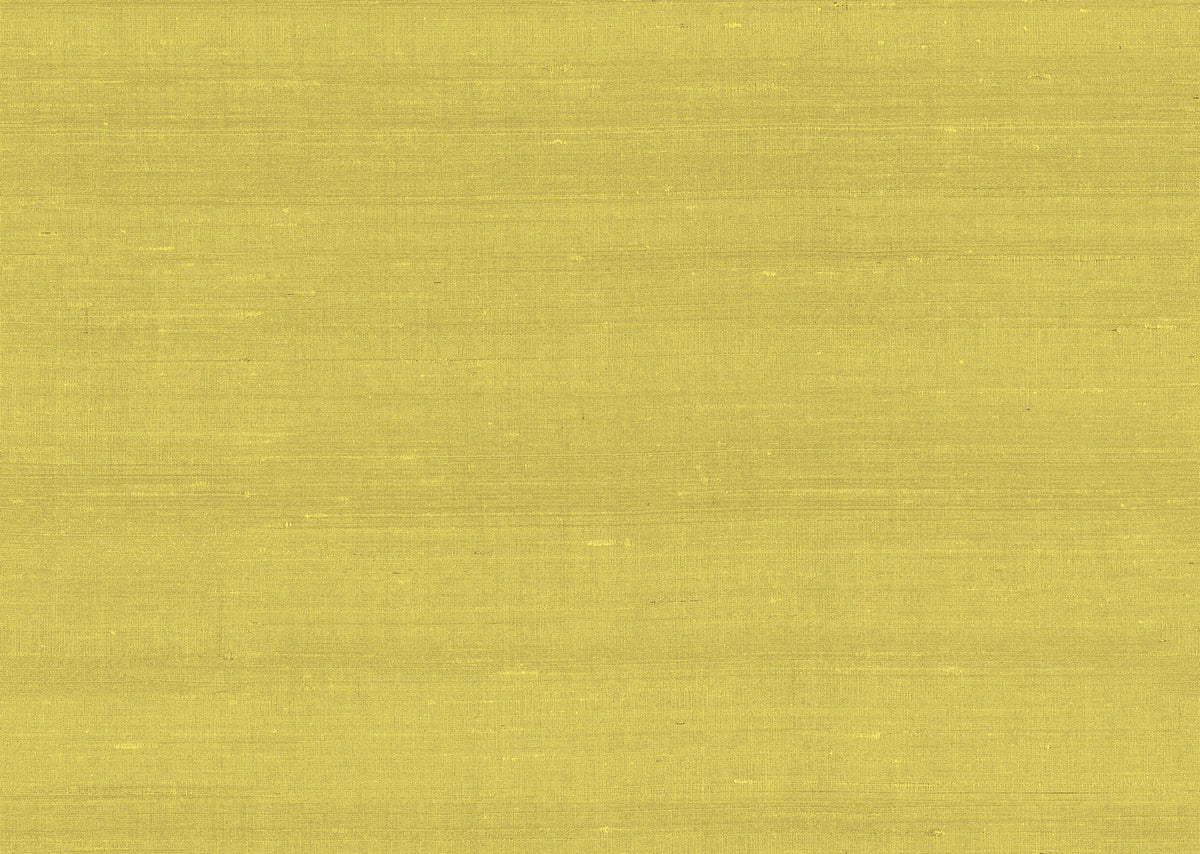 product_arte_paleo_50507_packshot.jpg