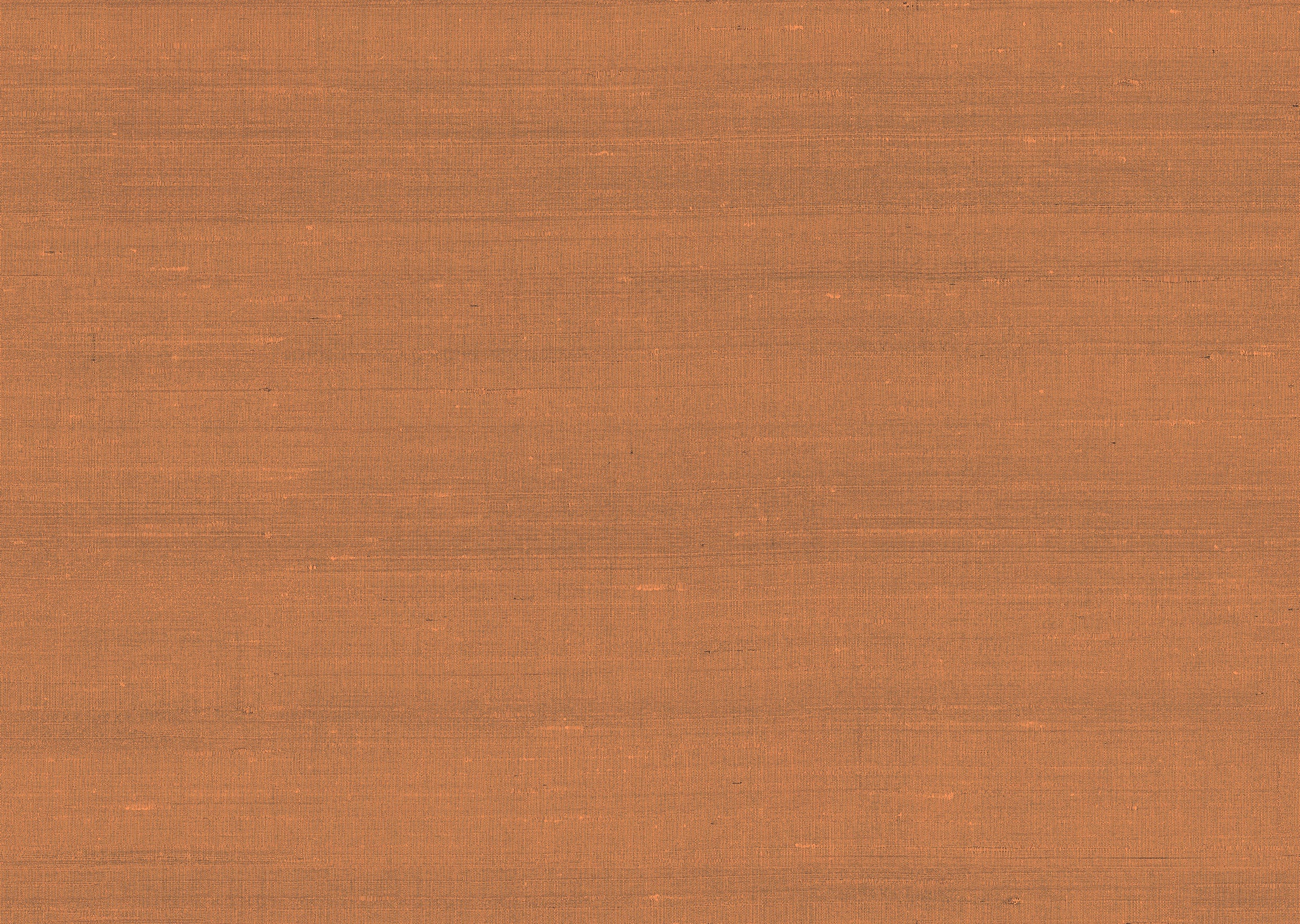 product_arte_paleo_50514_packshot.jpg