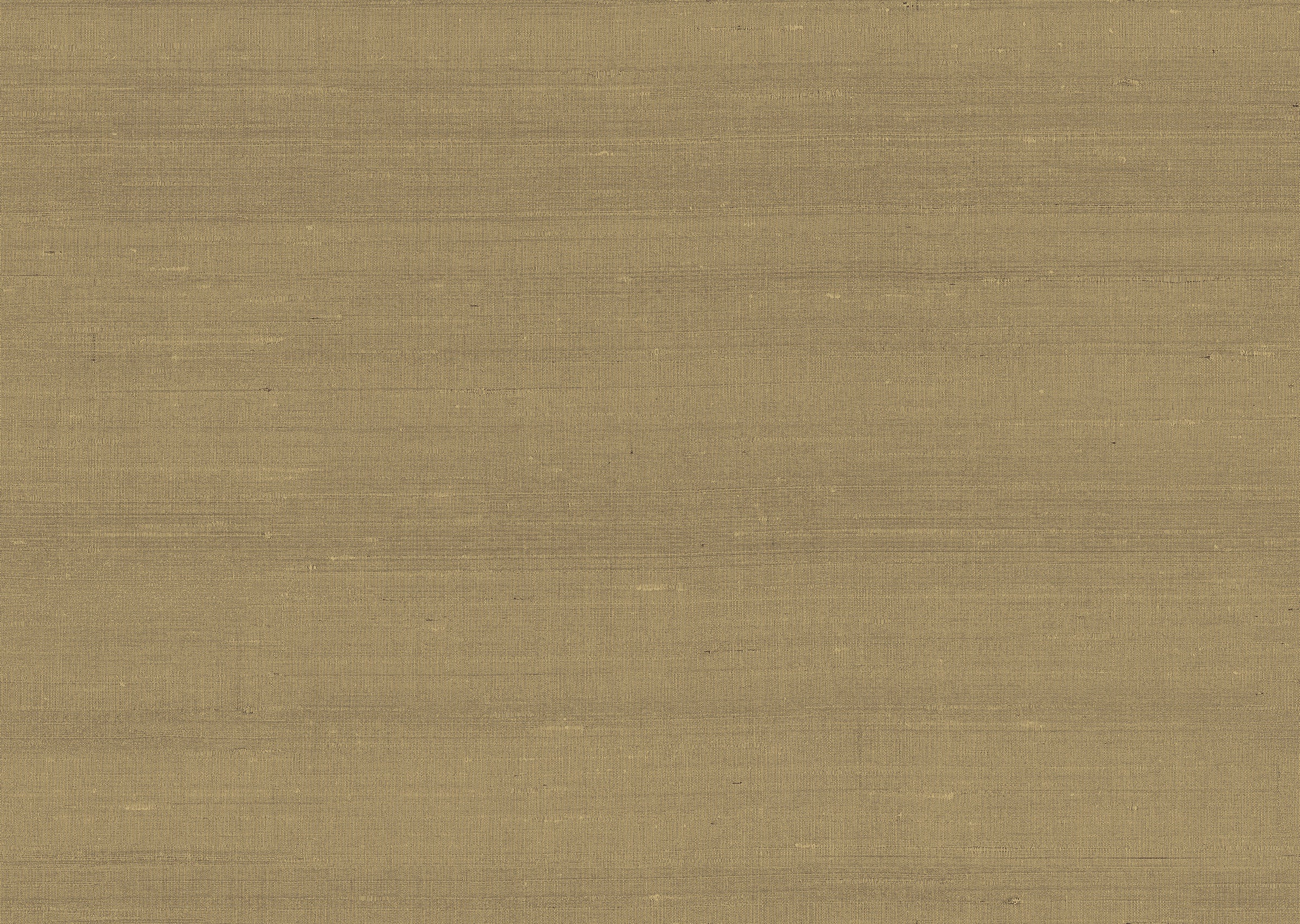 product_arte_paleo_50515_packshot.jpg