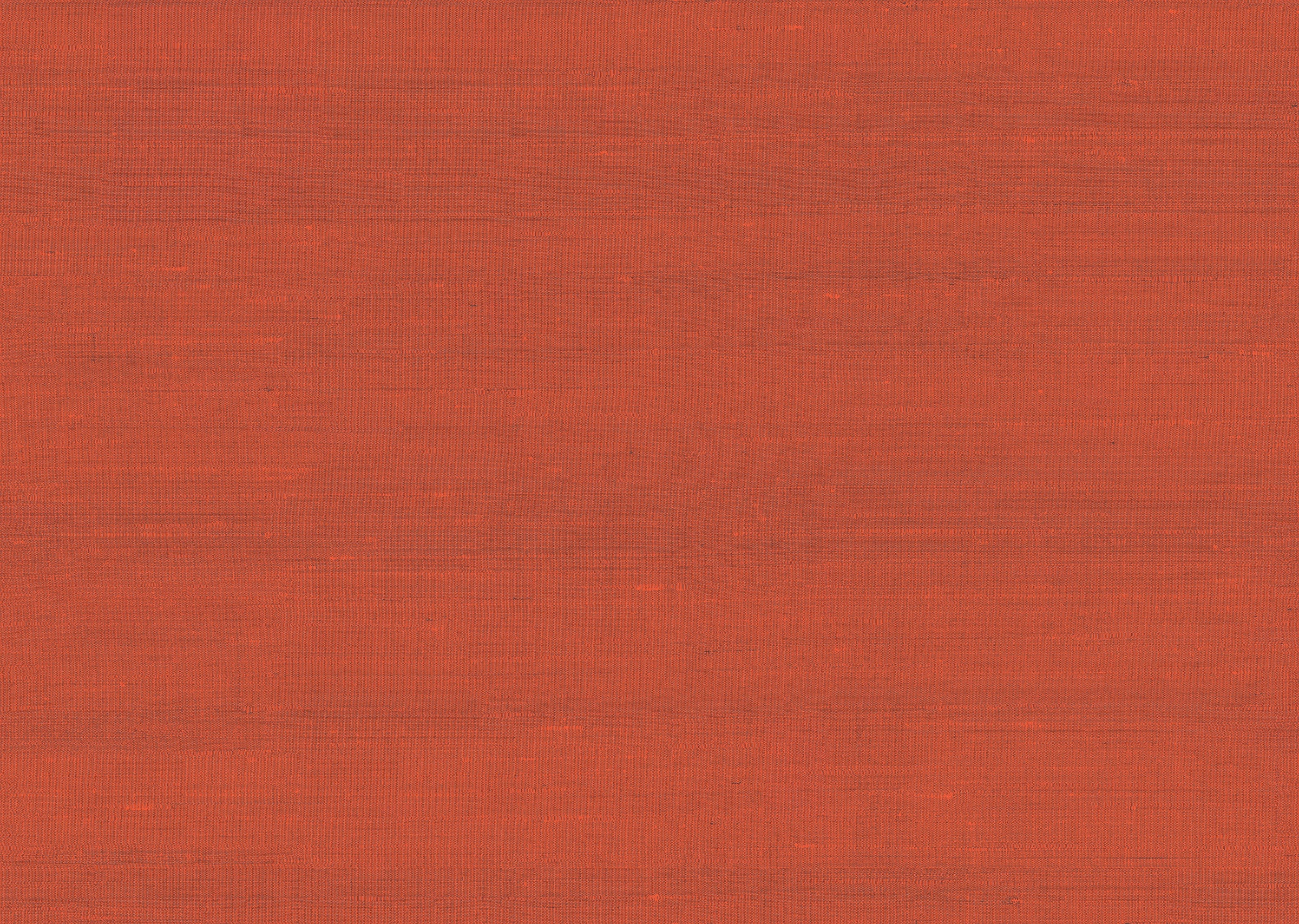 product_arte_paleo_50517_packshot.jpg