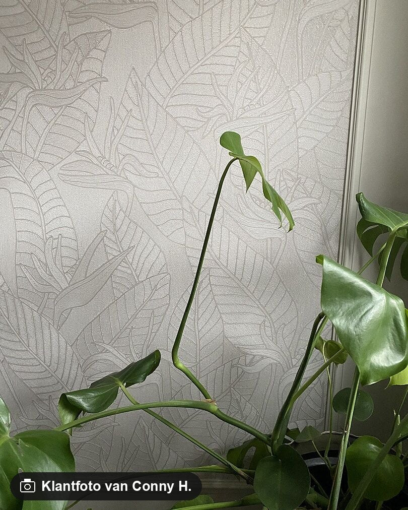 Klantfoto van Conny H. bij Arte Tali Strelitzia 60744 Porcelain