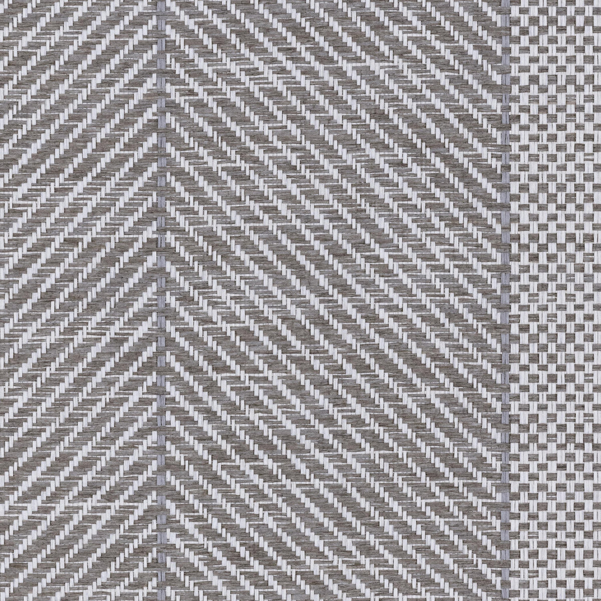 product_arte_tribu_tru50_packshot.jpg