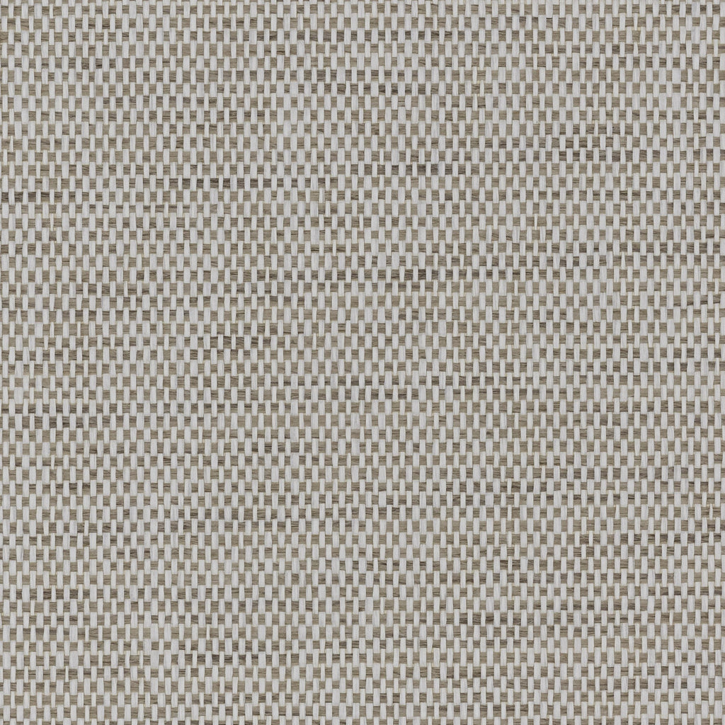 product_arte_tribu_tru84_packshot.jpg