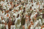 Brink & Campman Rocks Pumpkin vloerkleed close-up van de structuur