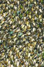 Brink & Campman Spring Evergreen vloerkleed close-up van de structuur