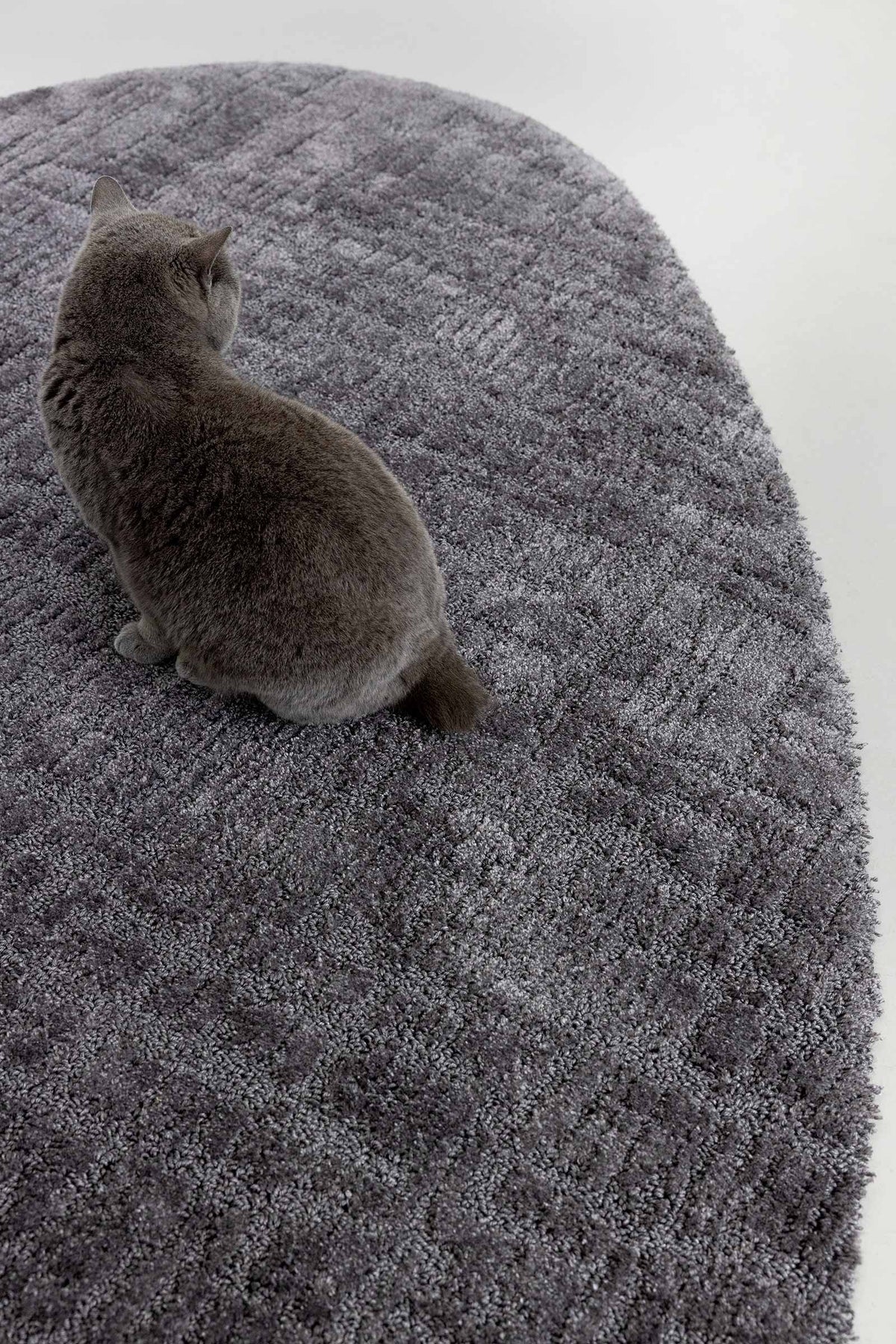 Brink & Campman Twinset Urban Graphite vloerkleed in een interieur