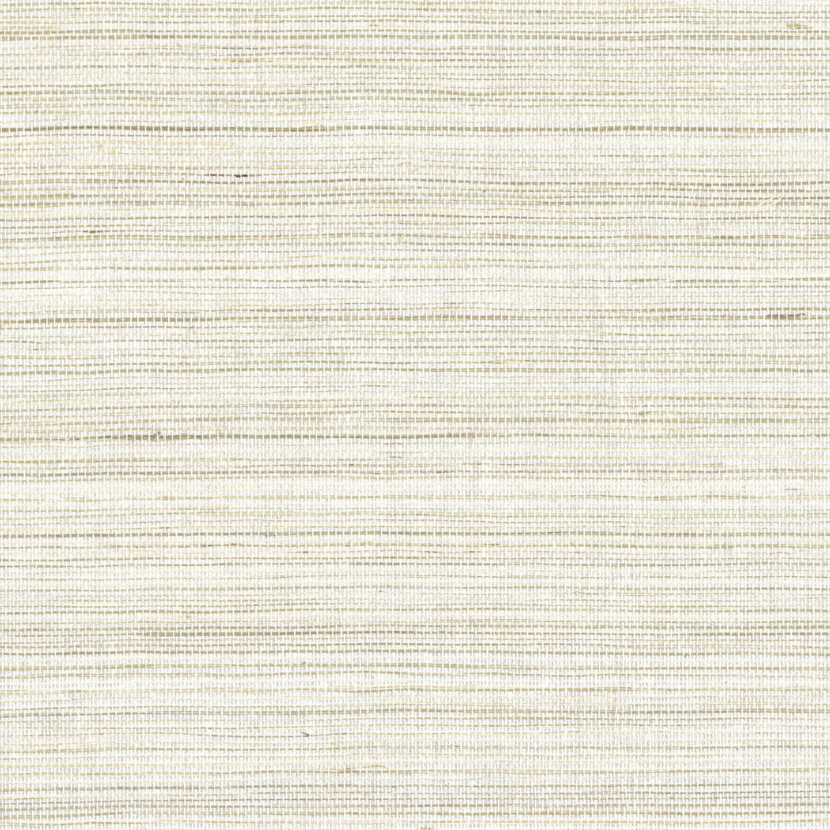Casamance behang Sisalana Picta 70161923 tourterelle