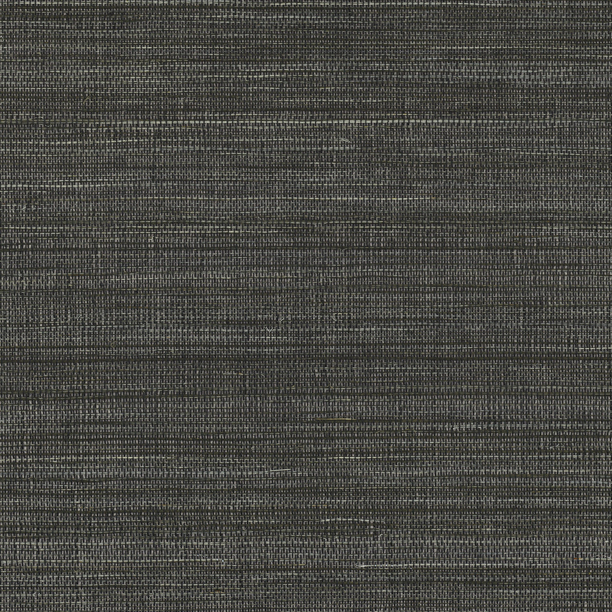 Casamance behang Sisalana Picta 70162735 noir acier (staal)