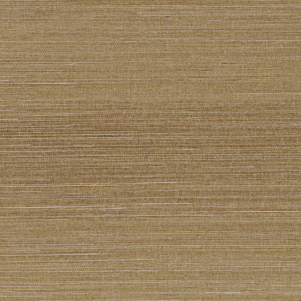 Casamance behang Sisalana Deserti 70854068 cardamone